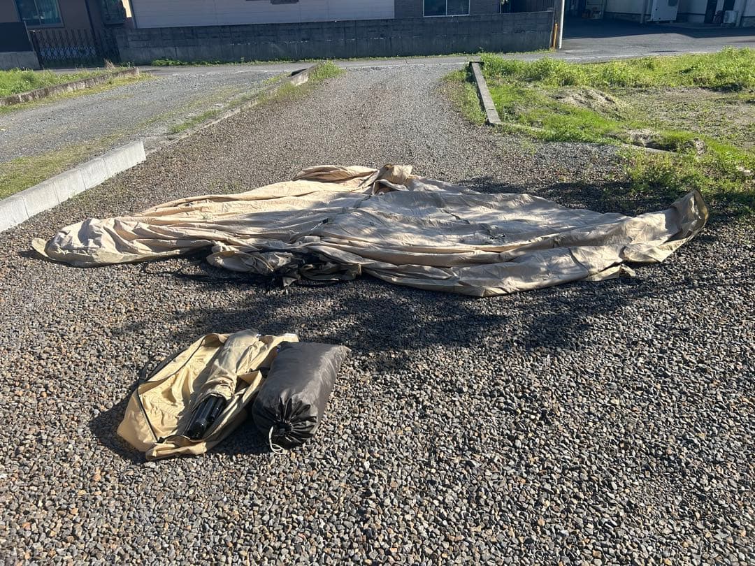 ✨shintaro3696✨さん専用 モーニンググローリーtc - メルカリ