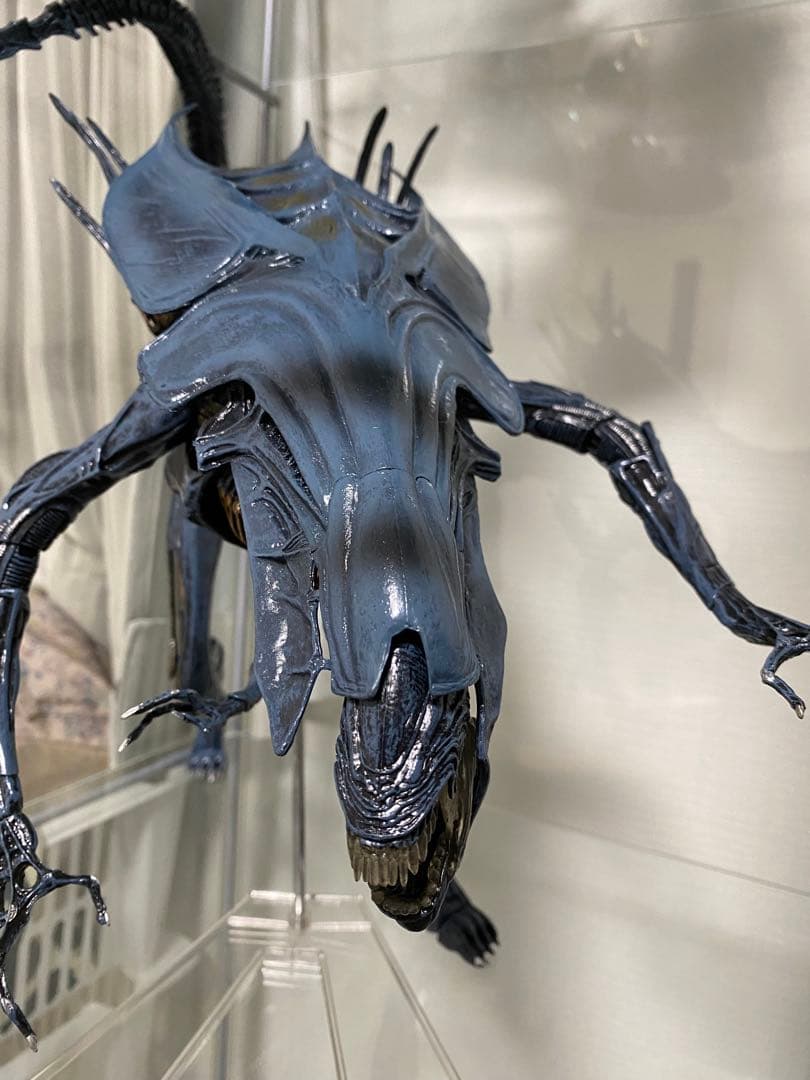 NECA ネカ クイーンエイリアン AVP プレデター