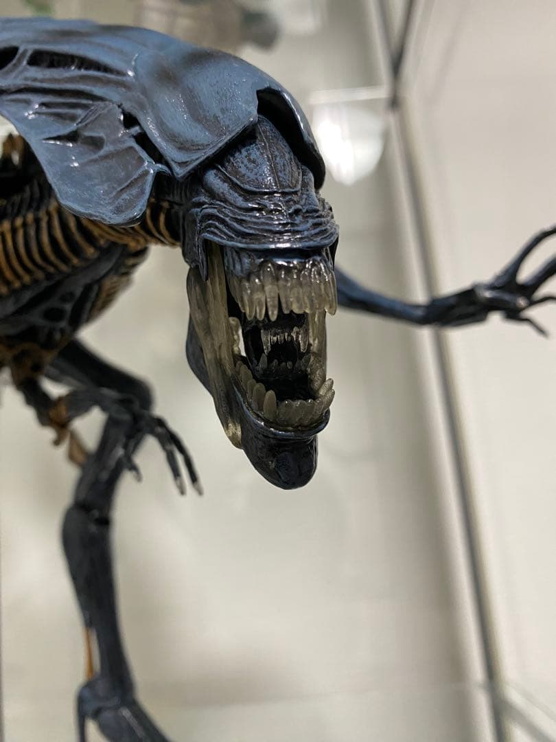 NECA ネカ クイーンエイリアン AVP プレデター