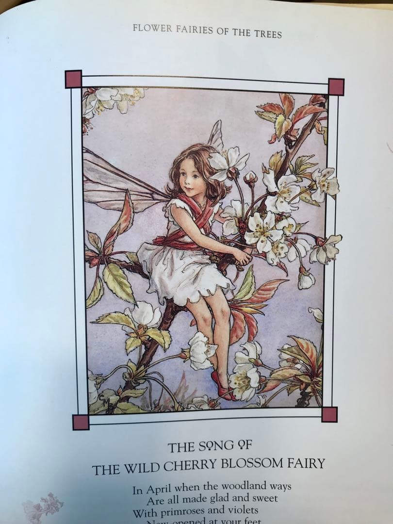 貴重】flower Fairies画集 シシリー メアリー バーカー - メルカリ