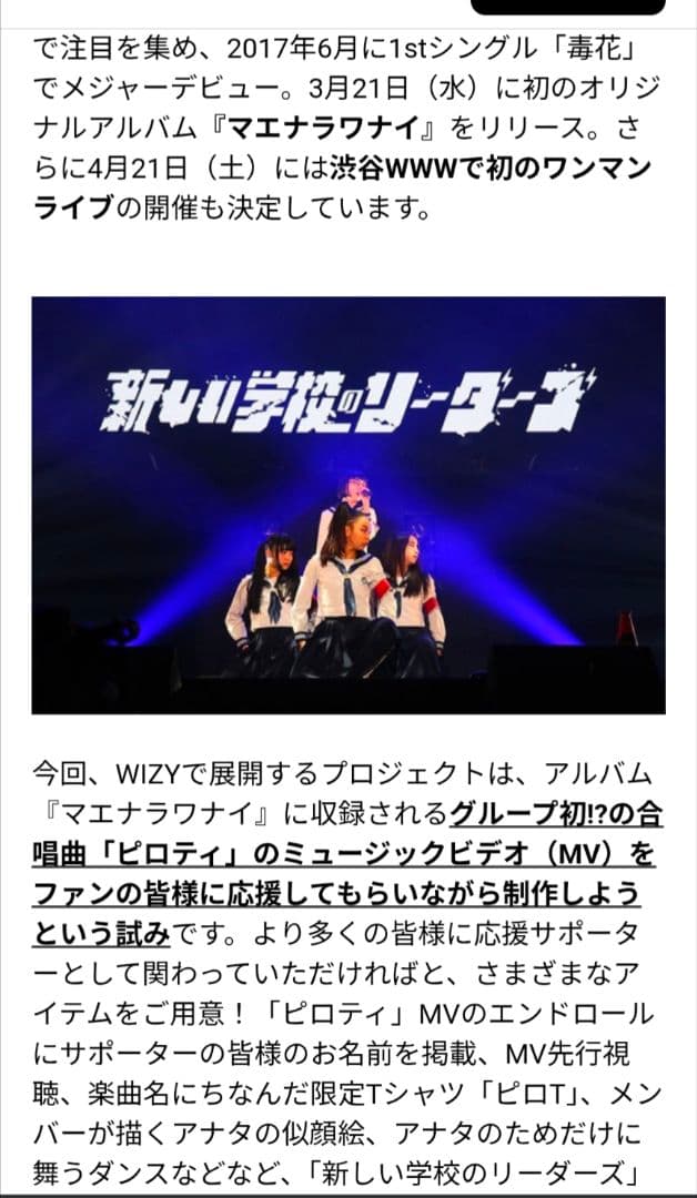 新しい学校のリーダーズ公式ピロティＴシャツ激レア！フリーサイズ