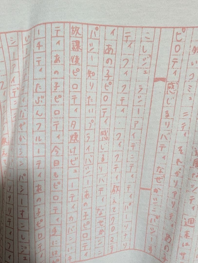 新しい学校のリーダーズ公式ピロティＴシャツ激レア！フリーサイズ