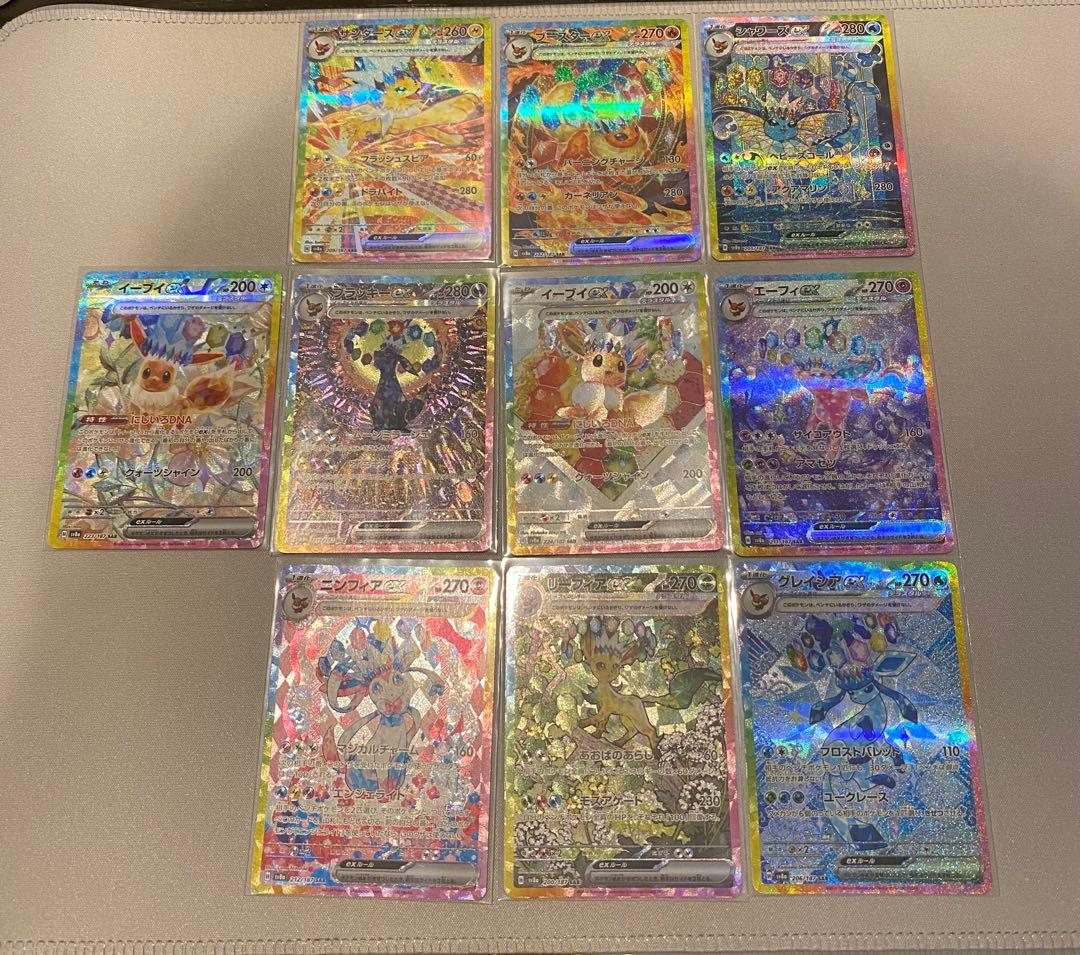 ブイズ　SAR テラスタルフェス