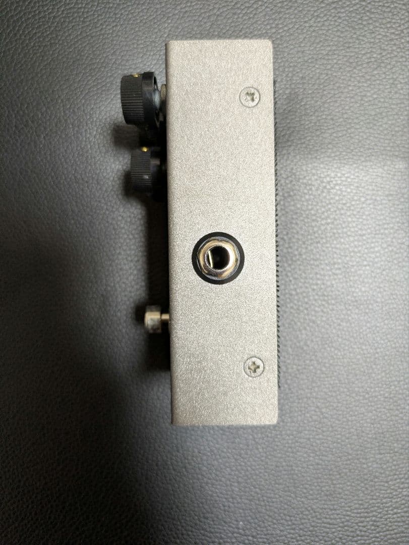 ギター Organic Sounds hades