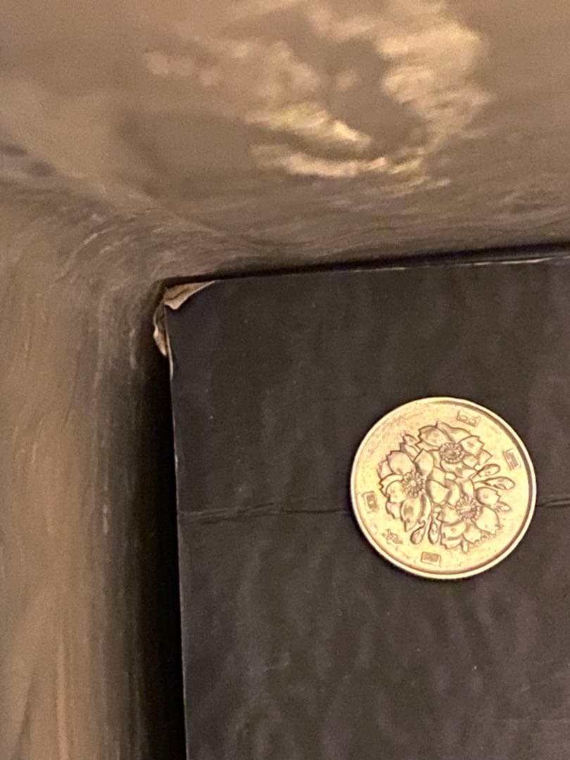 開封未使用品 COOLPROPS ネギガンテ カプコン フィギュア - メルカリ