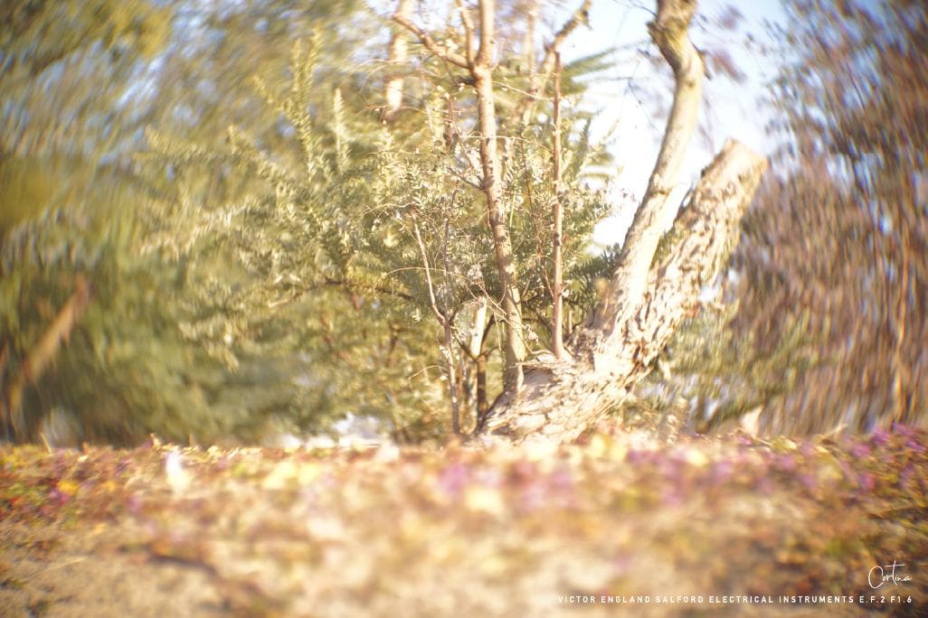 M42マウント VICTOR ENGLAND E.F.2 F1.6 ぐるぐるボケ