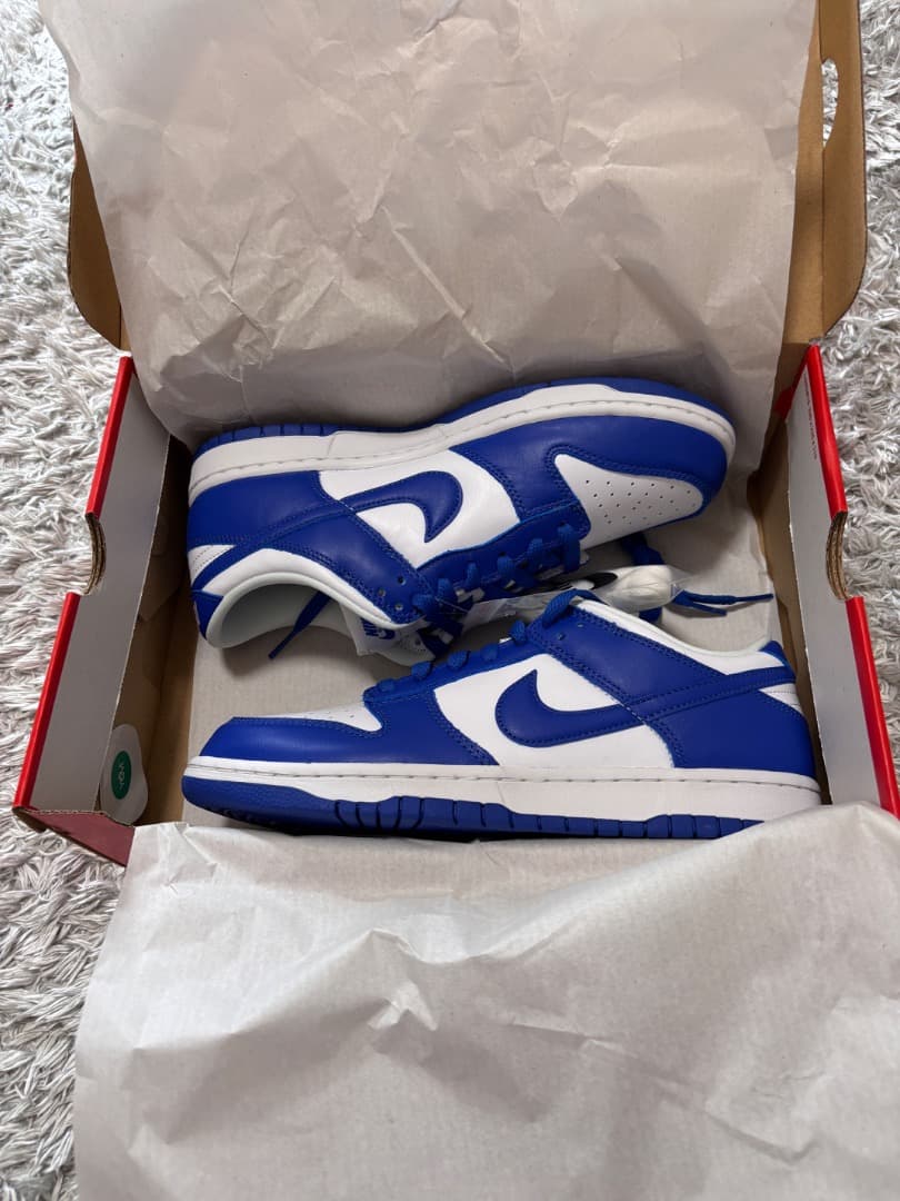 【新品未試着タグ付き/27㎝】NIKE DUNK LOW \"Kentucky\"