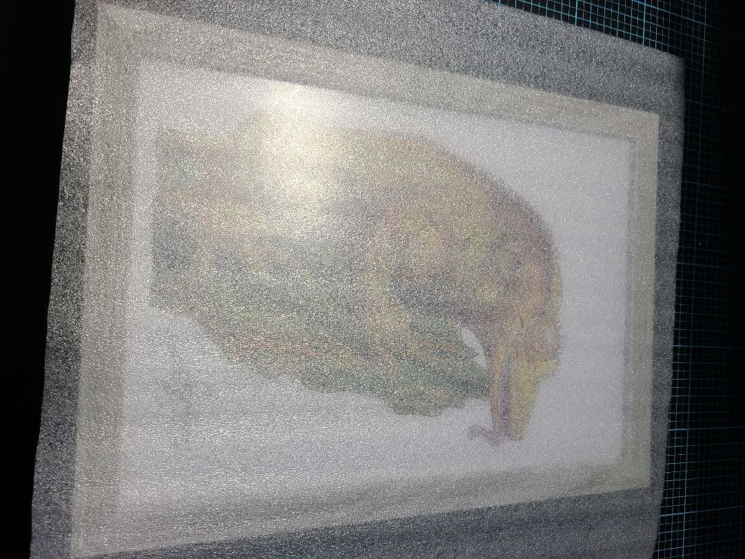 クレステッドゲッコー】自作 額縁入り B5