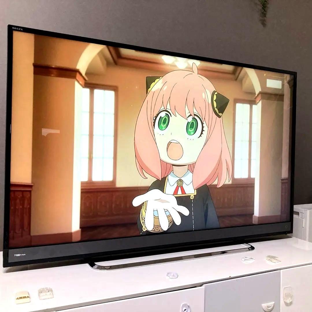 《取説あり‼︎》REGZA 50v型 4K 液晶テレビ　50M510X 18年製