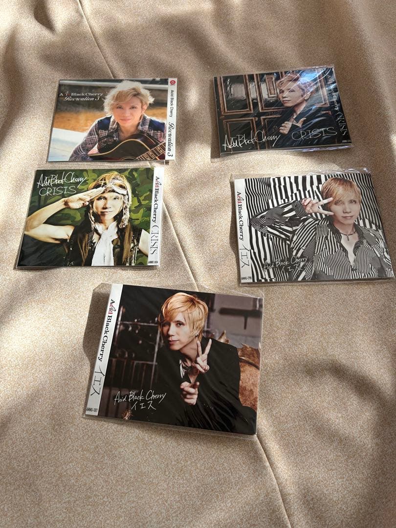 値上げ予定！Acid Black Cherry グッズまとめ売り③