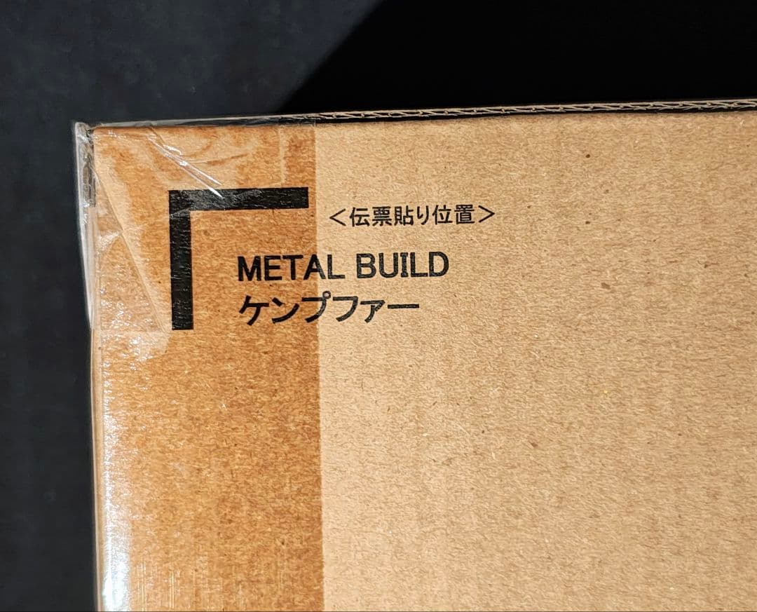 メタルビルド metal build ケンプファー 輸送箱未開封 - メルカリ