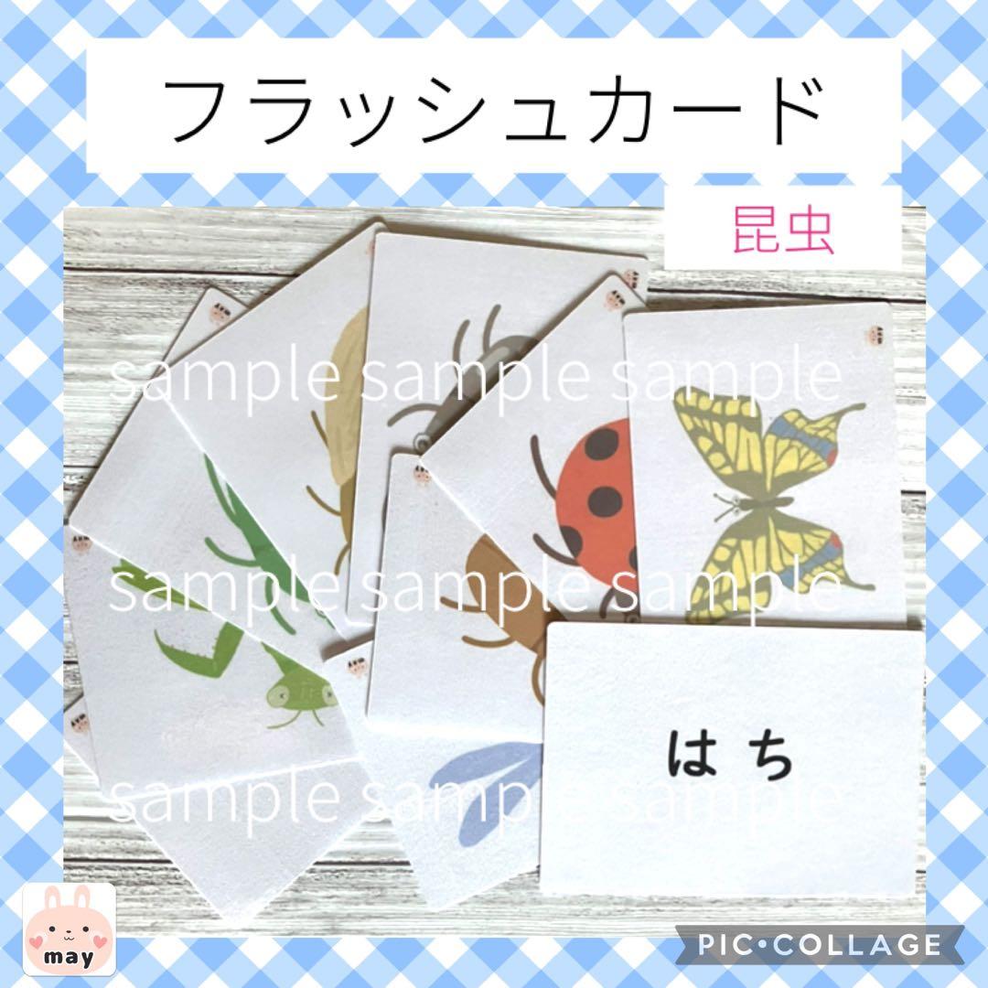 1/31まで◆翌日発送　新春お得セット★1セット限り★A6フラッシュカード８種