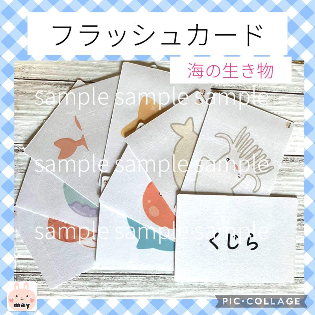 1/31まで◆翌日発送　新春お得セット★1セット限り★A6フラッシュカード８種