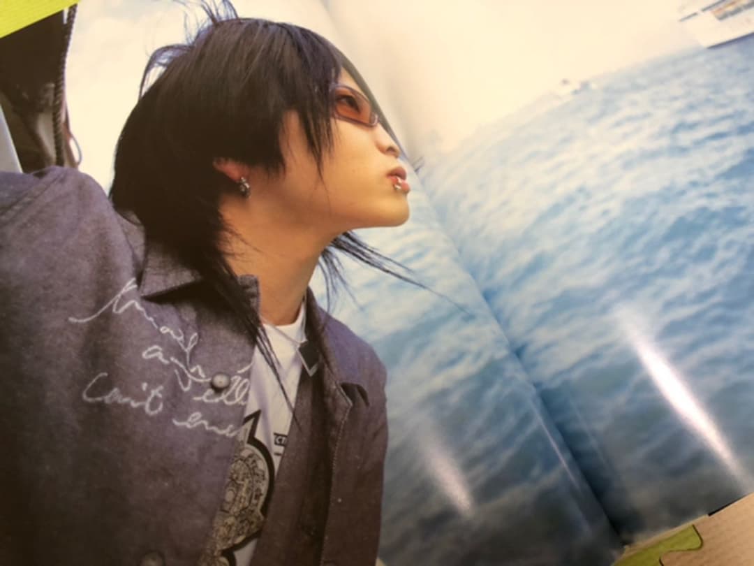 雅　MIYAVI miyavi 写真集　羽化上下巻セット