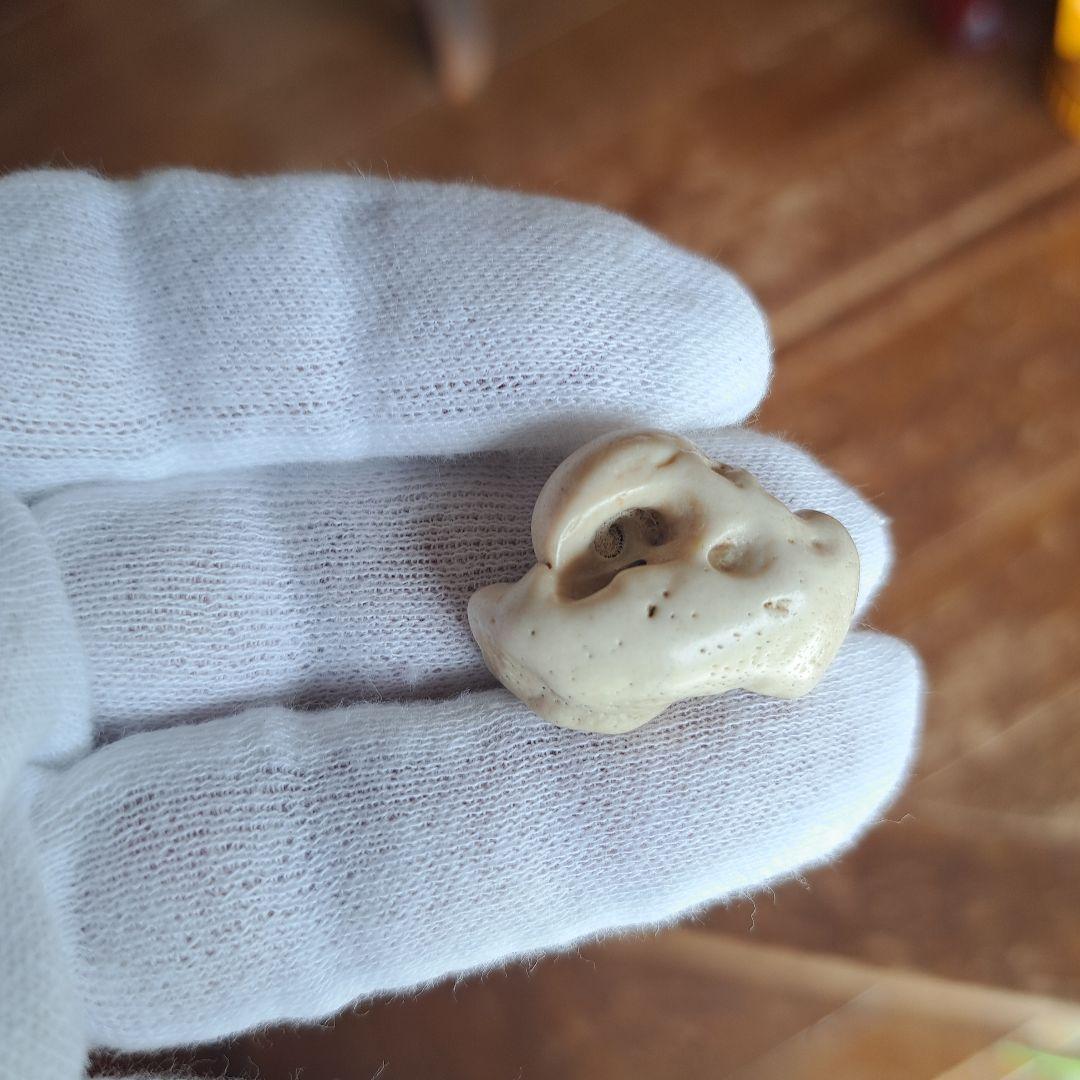 イルカの耳骨【大きさ2.7㎝ ③】 - メルカリ