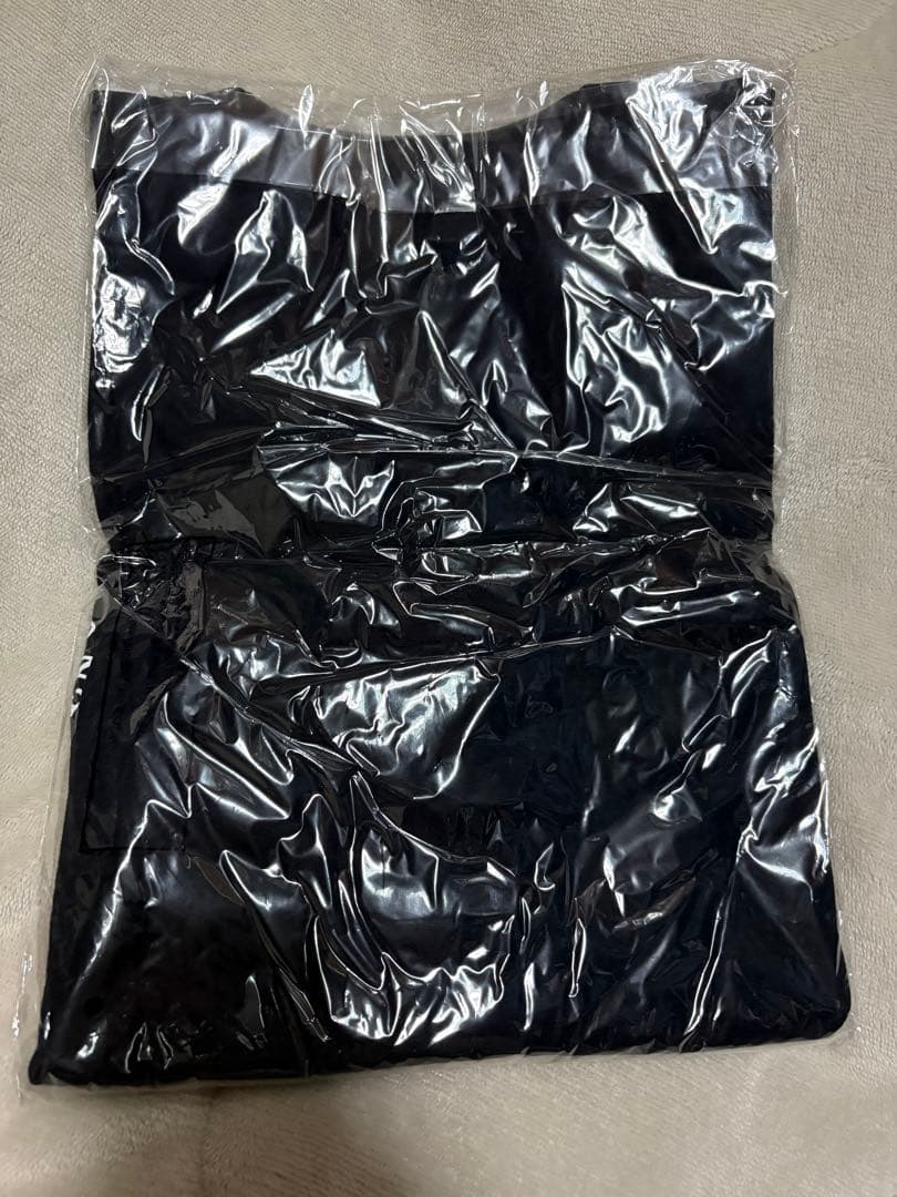 BUMP OF CHICKEN ロンT 黒 Lサイズ バンプオブチキン