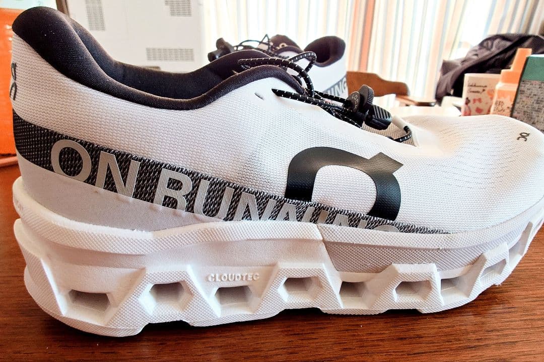 On Cloudmonster2　クラウドモンスター2（ 27.0cm）