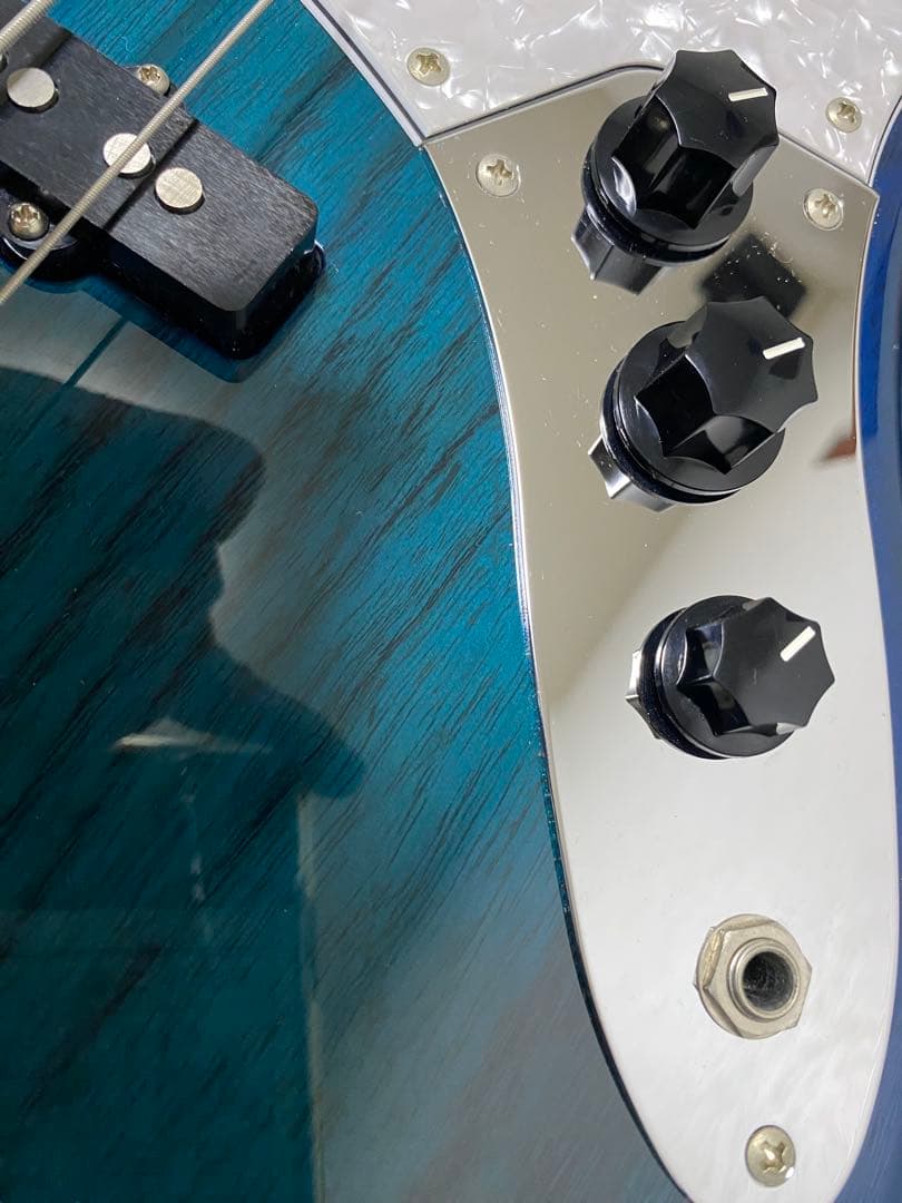 FUJIGEN SNJB101-SBB ネオクラシック - メルカリ