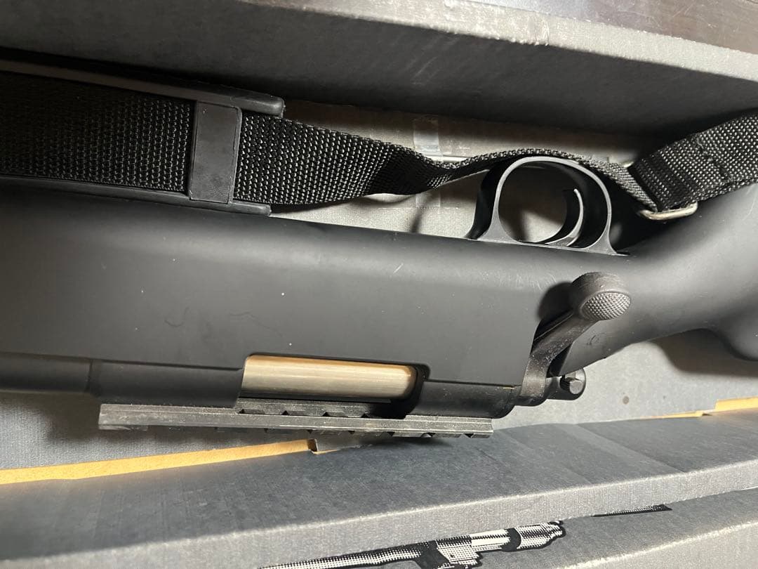 VSR-10 プロスナイパー・バージョン