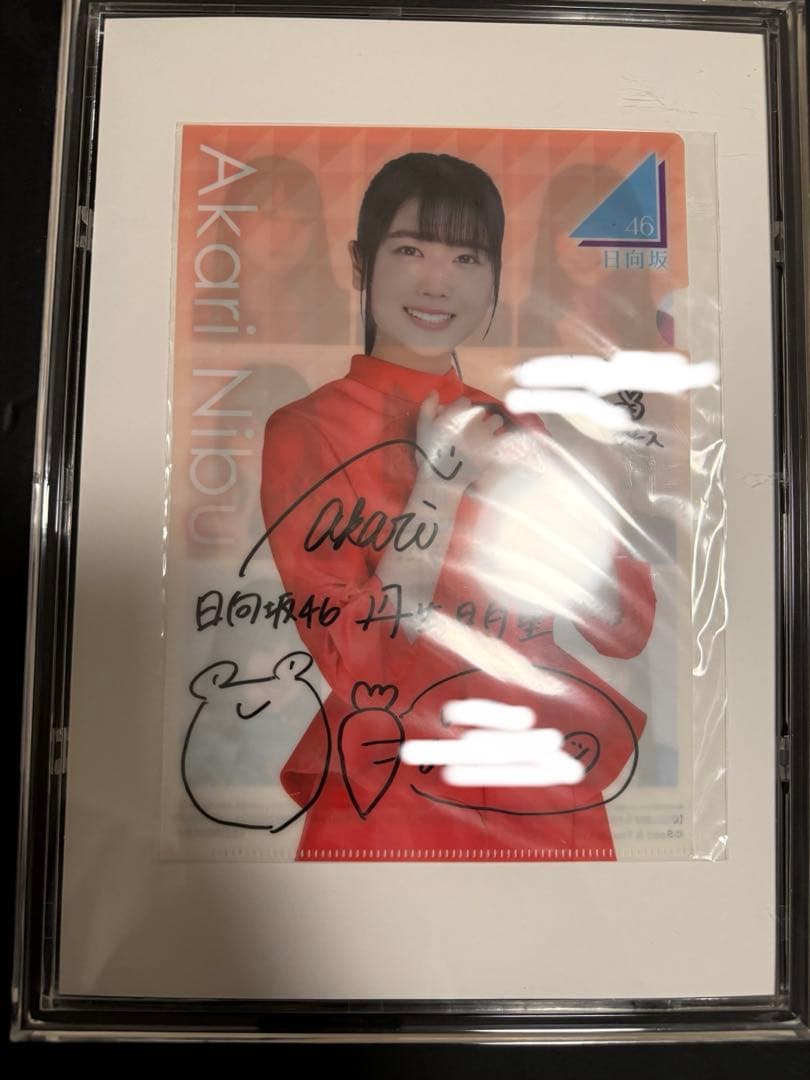 日向坂46 直筆サイン入りクリアファイル