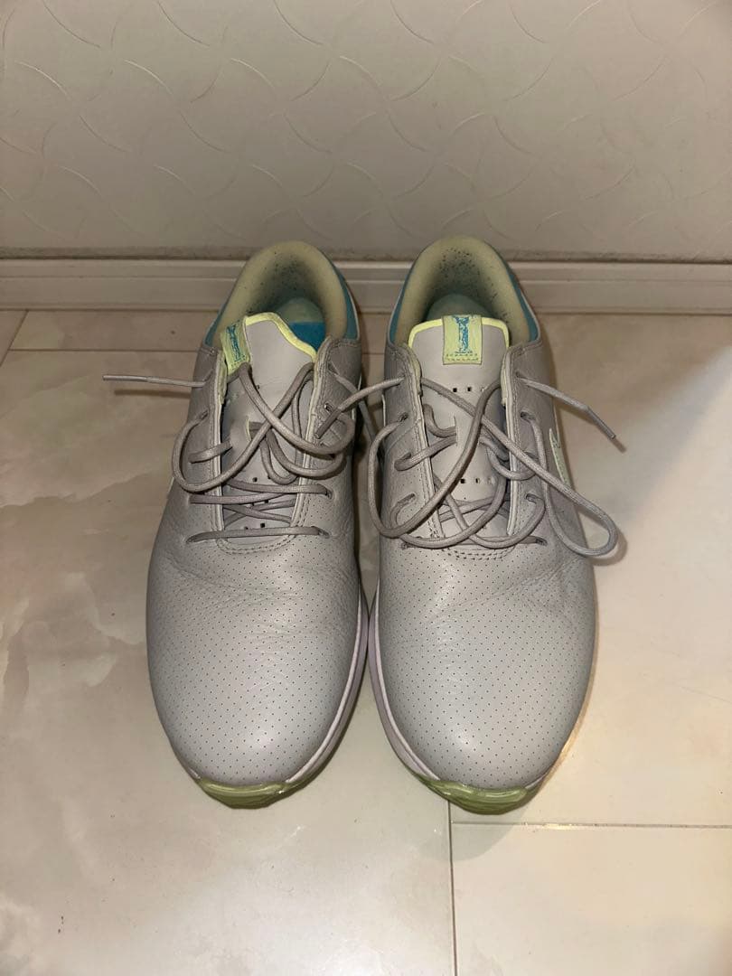 Nike ゴルフシューズ スパイク ナイキ ゴルフシューズ ヴィクトリー プロ 4 (FZ7611002) メンズ