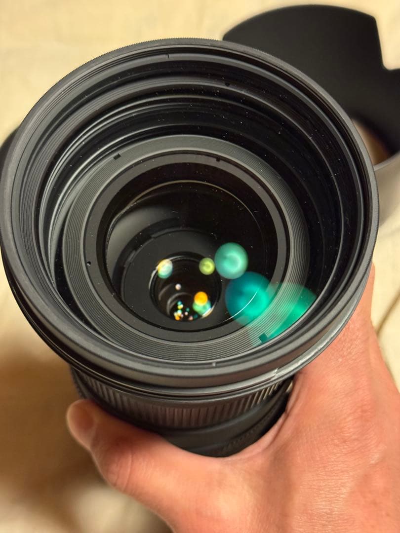 シグマAPO 50-500mm f4.5-6.3 DG OS HSM