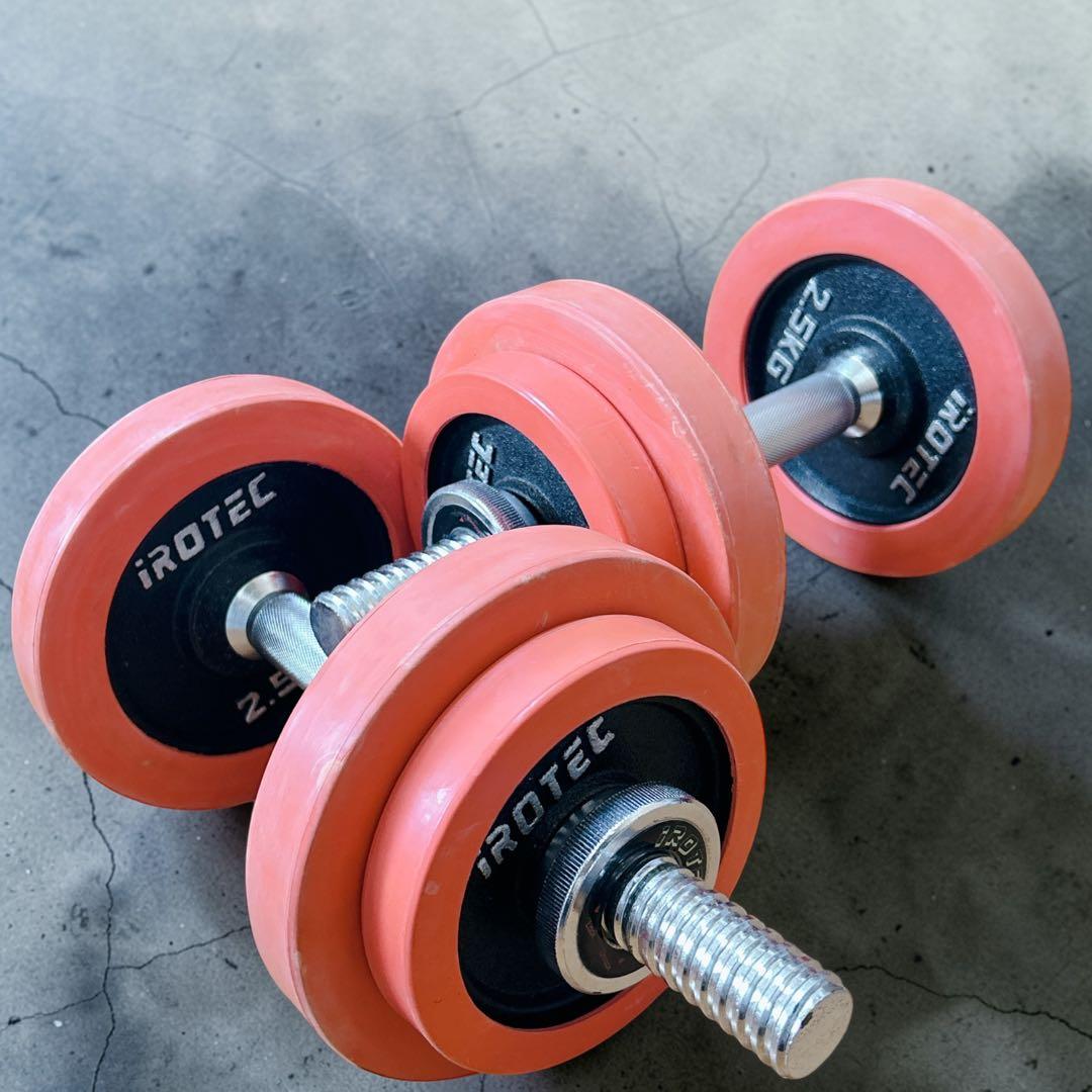 IROTEC アイロテック ダンベルプレート 10kg 計20kg ラバー付き - メルカリ
