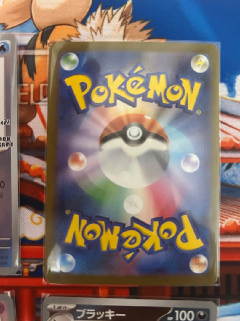 長場　イーブイ　コンプ　セット