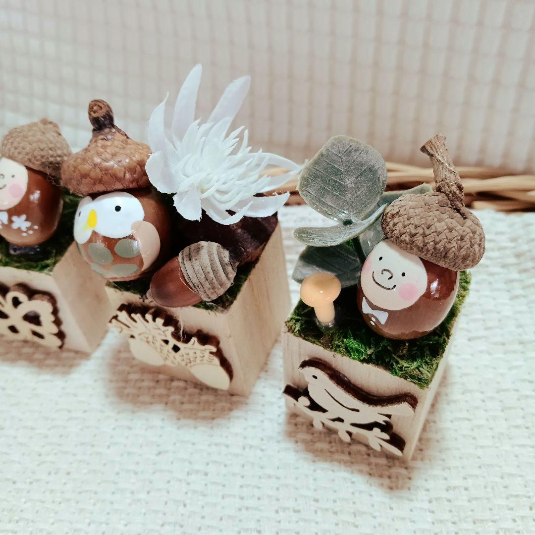 どんぐりちゃん3点セット☆どんぐりアート - メルカリ