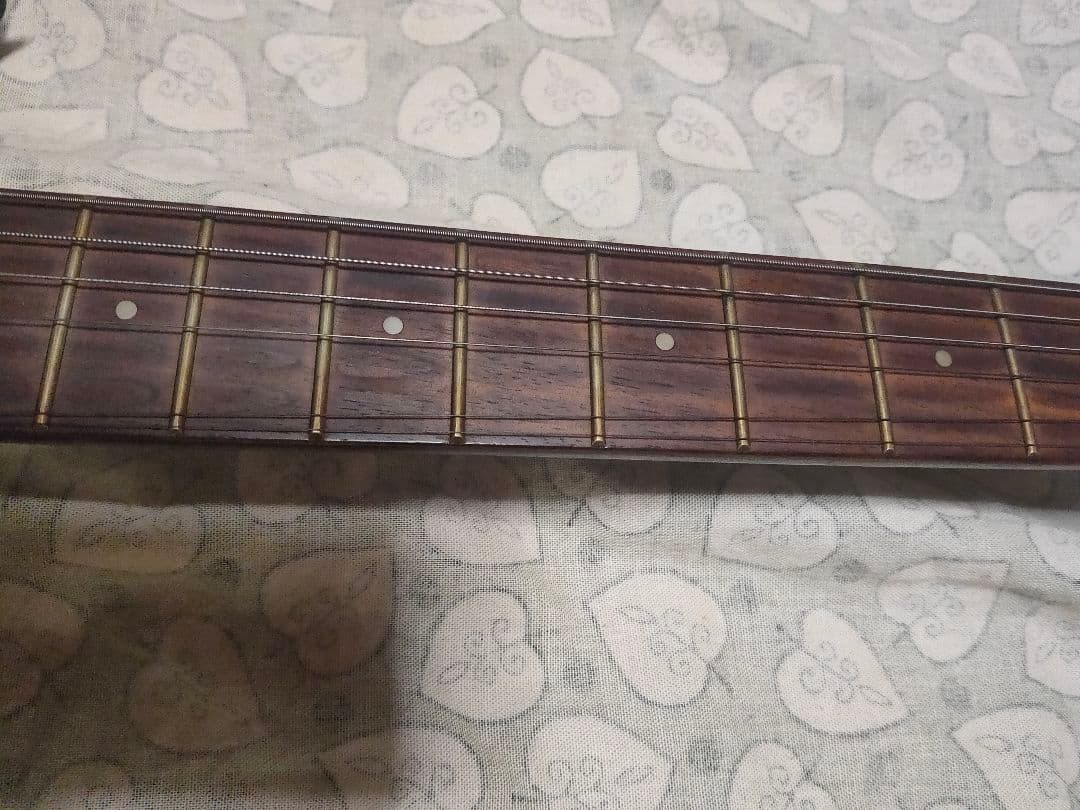 Black Dog アルダーボディ ストラトキャスタータイプ ジャンク - メルカリ