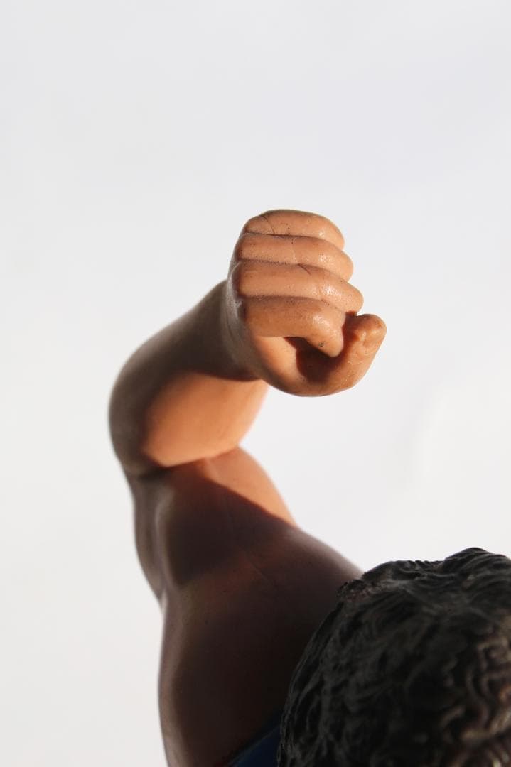 Hillbilly Jim 1984 WWF レスリング 19cm