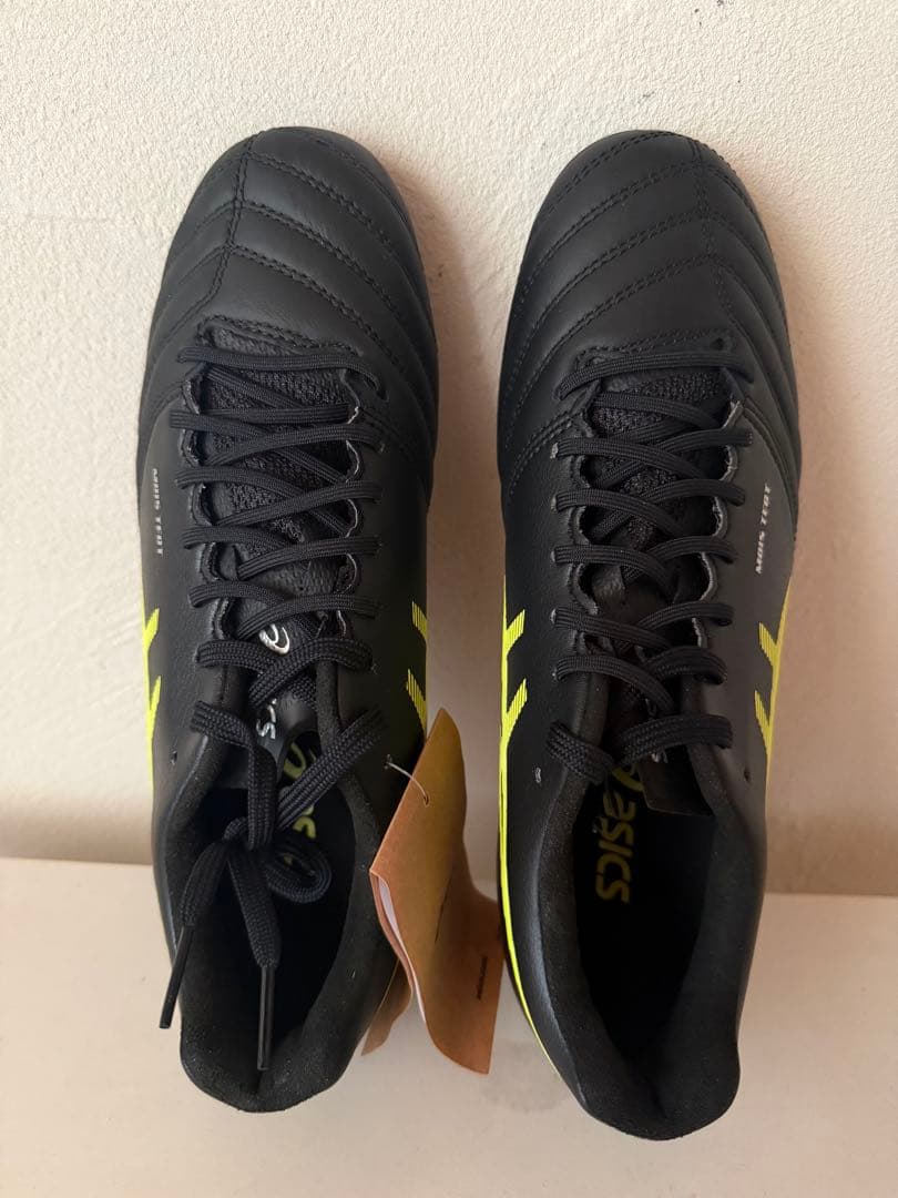 値下げしました！新品asics DS LIGHT X-FLYPRO 24.5cm