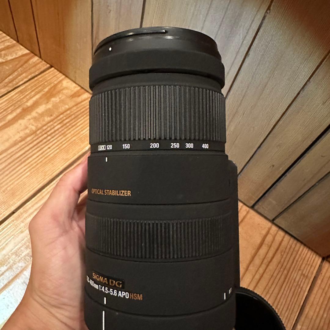 SIGMA 120-400 F4.5-5.6 DG APO HSM ズームレンズ