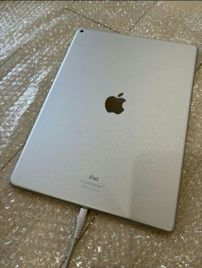 【Luffy】【美品】iPad Pro 第1世代 12.9inch