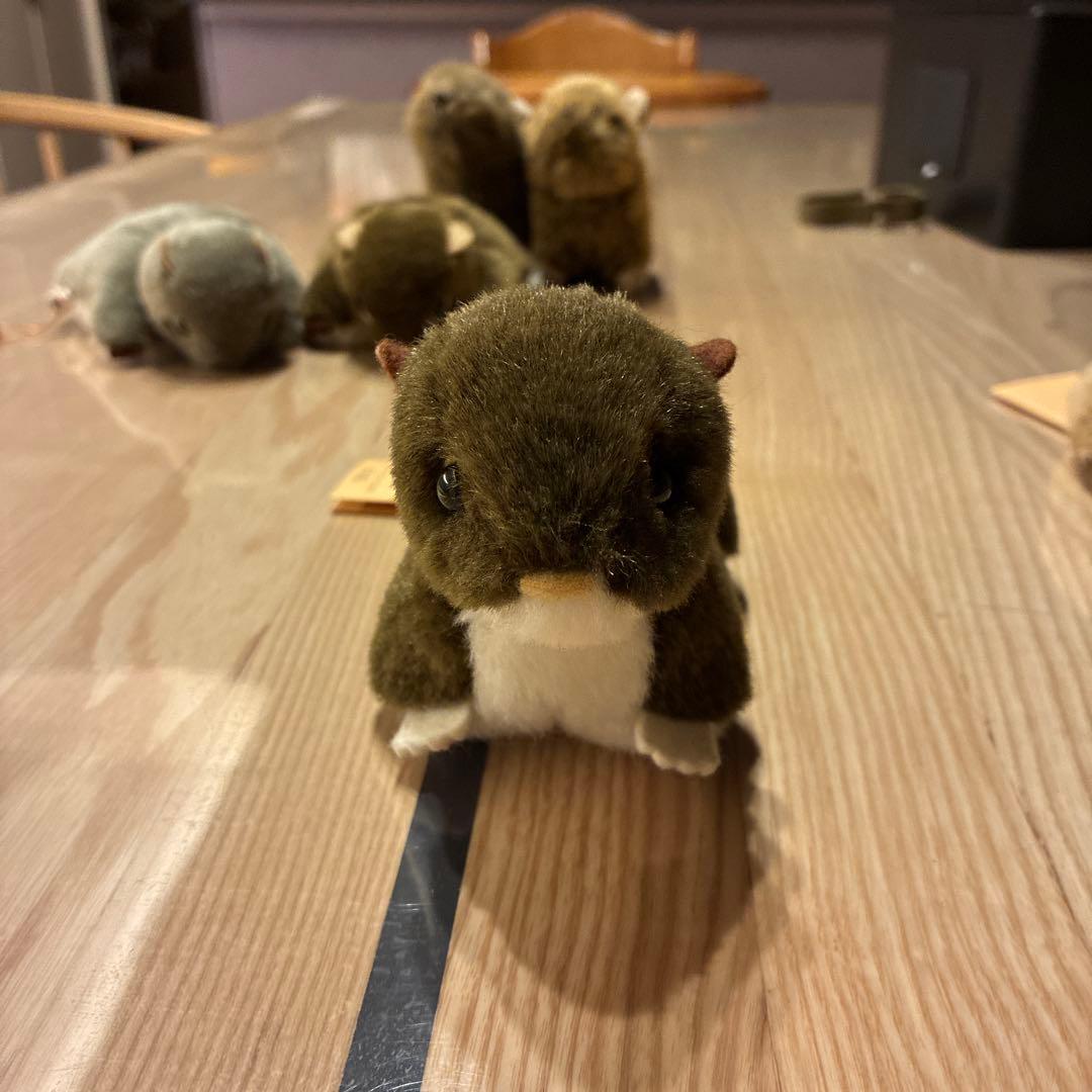 即購入可　やまね工房　ぬいぐるみセット　おまけナキウサギ付