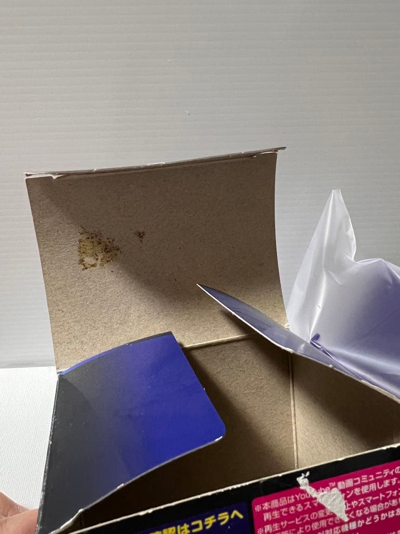 ディズニーランド　Once Upon a Timeハコビジョン