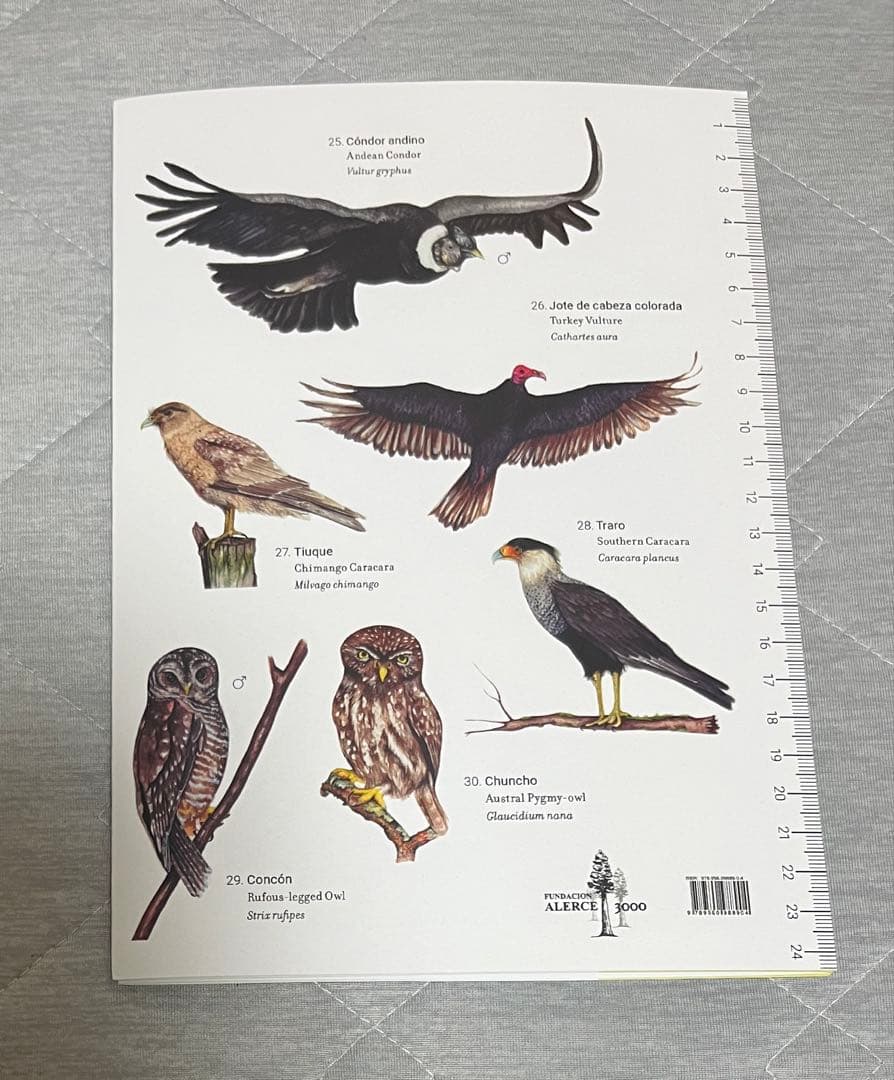 大阪関西万博　チリ　ノベルティセット　トートバッグ　ナップサック　ノート　ペン等