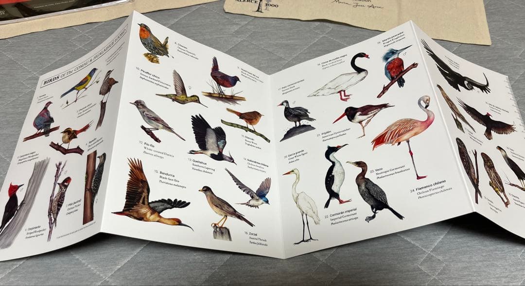 大阪関西万博　チリ　ノベルティセット　トートバッグ　ナップサック　ノート　ペン等