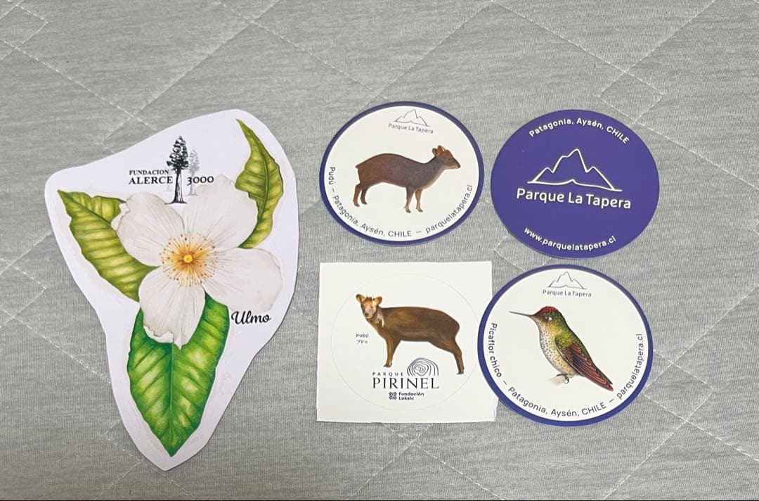 大阪関西万博　チリ　ノベルティセット　トートバッグ　ナップサック　ノート　ペン等