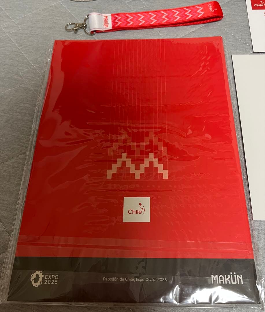 大阪関西万博　チリ　ノベルティセット　トートバッグ　ナップサック　ノート　ペン等