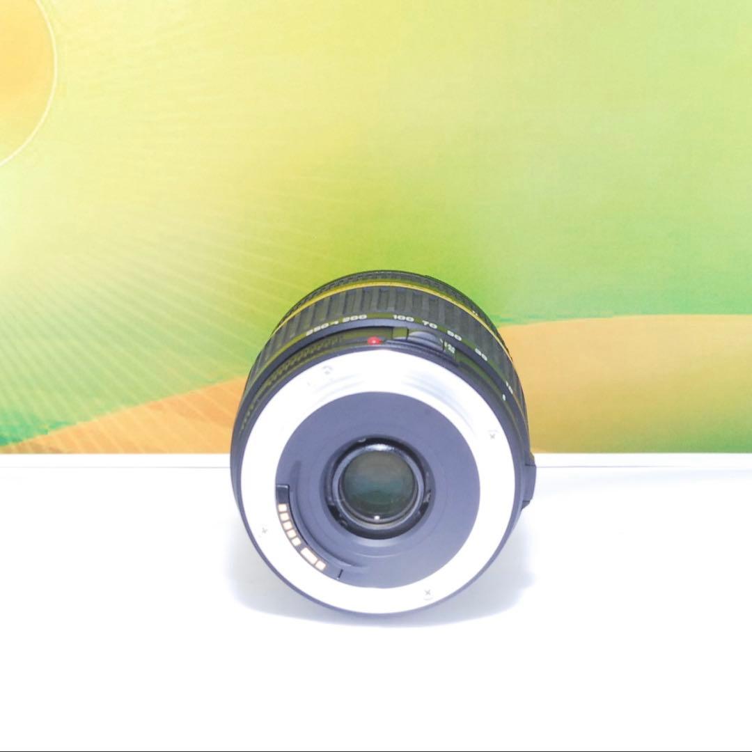 美品✨TAMRON AF 18-250mm F3.5-6.3 A18 Canon