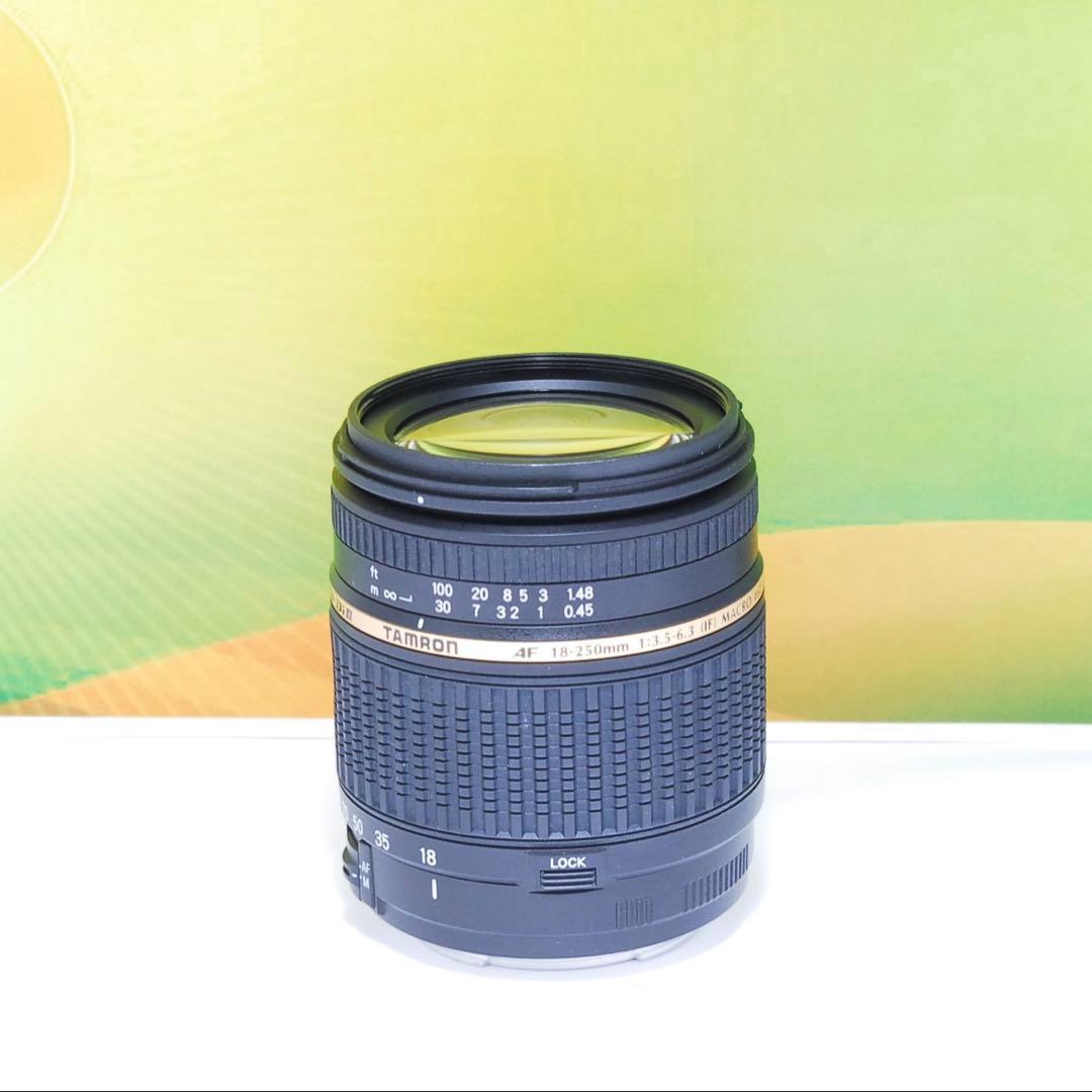 美品✨TAMRON AF 18-250mm F3.5-6.3 A18 Canon