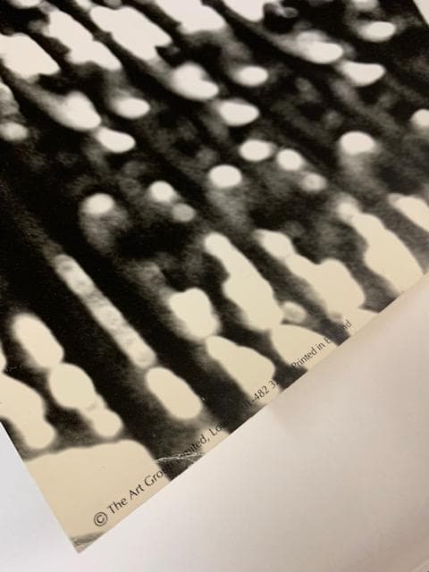 額装品/Veronica/パメラ ハンソン