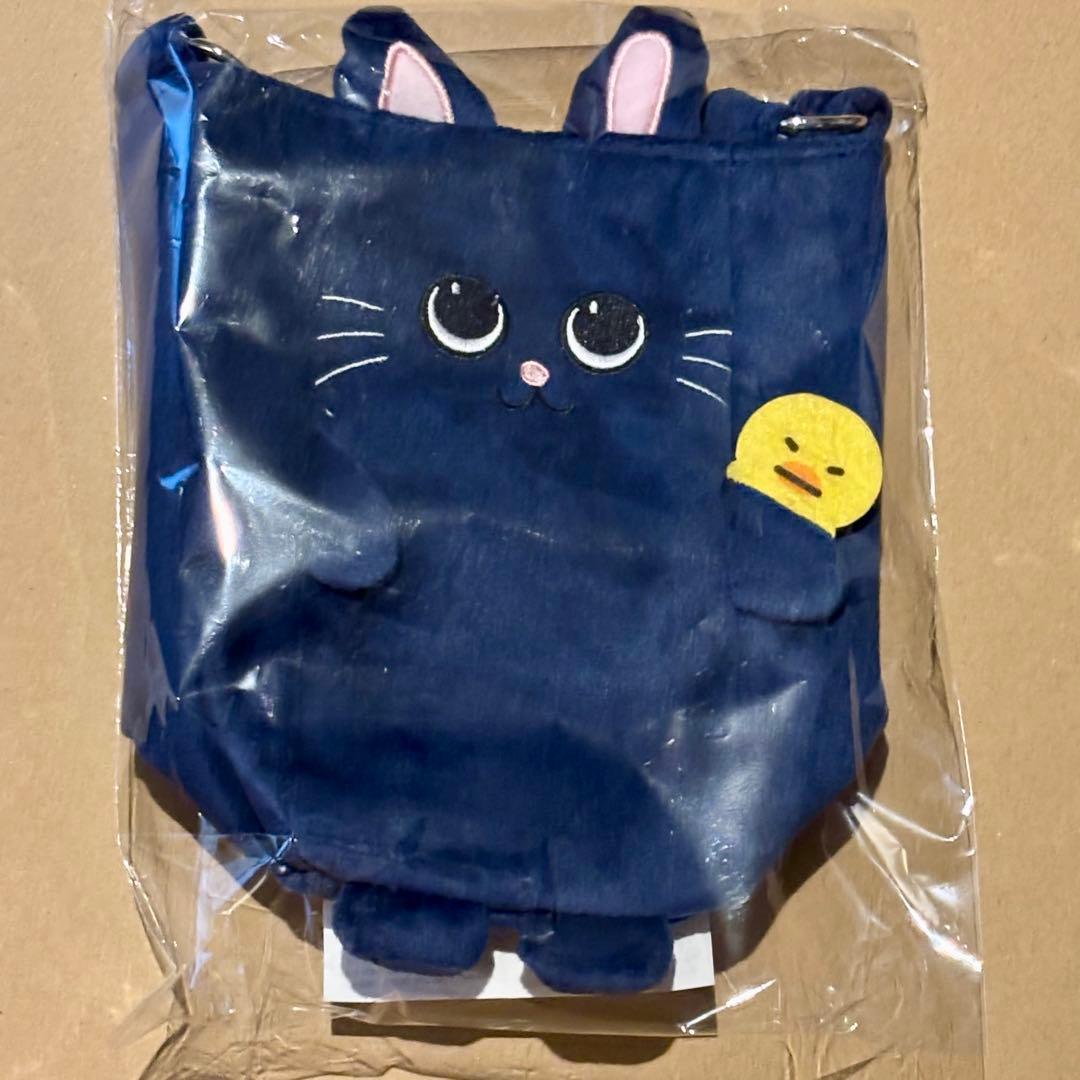 RIIZE 東京ドーム ウォンビン ファンライトバッグ ペンライトバッグ