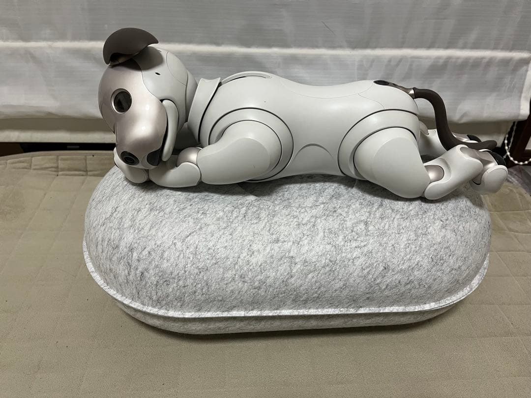 SONY aibo ERS-1000 ジャンク品