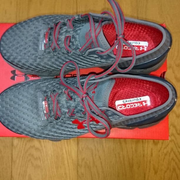 Grey アンダーアーマー スピードホーム GEMINI 2レコード