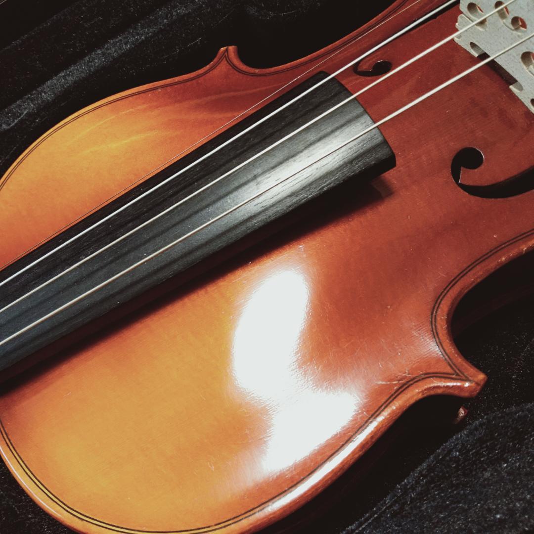 Ron様専用【美品】SUZUKI バイオリン 3/4 No.280 杉藤弓 - メルカリ