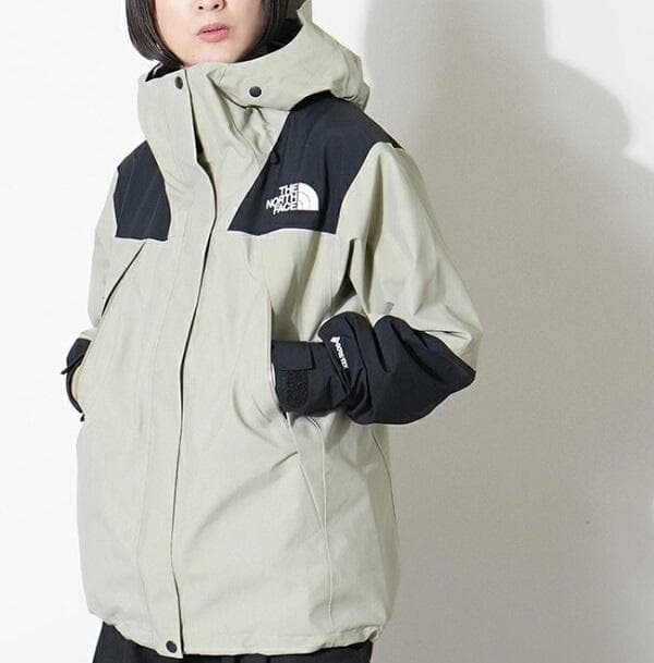 ザ ノースフェイス/マウンテンジャケット/クレイグレー/L/マウンテン
