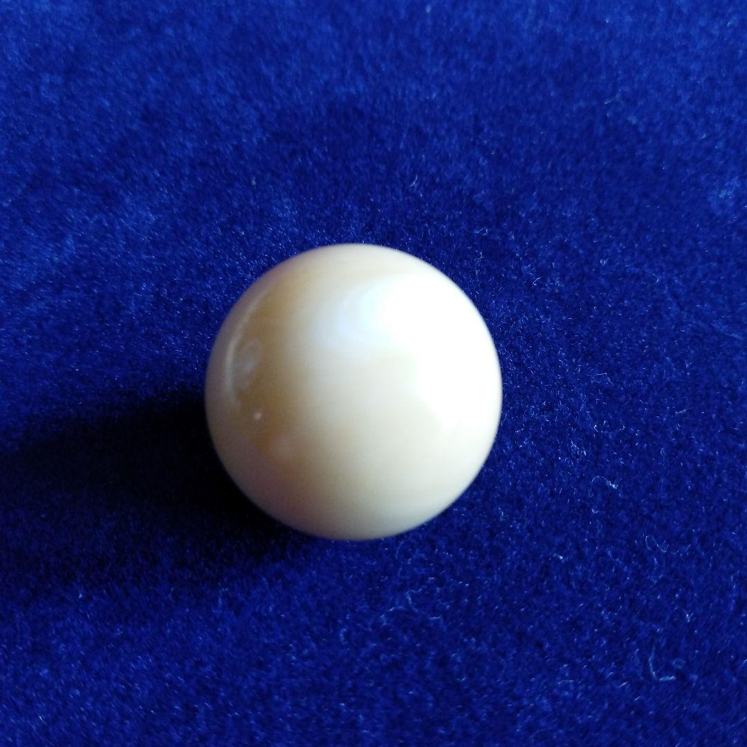 鯨歯　マッコウクジラ　牙玉　ルース　約19.5㎜　片穴