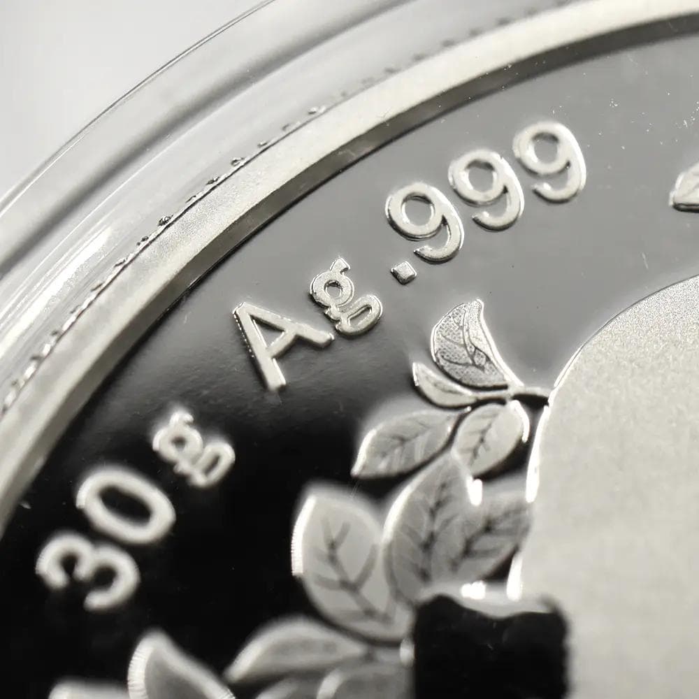 2024 (新品未使用) 中国 パンダ銀貨 30g10元 (カプセル入) 152 - メルカリ